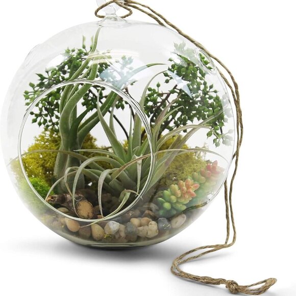 WGV Hanging Terrarium Globe, Width 8", Height 9", DIY Air Succulent Planter, Cle - Picture 5 of 9